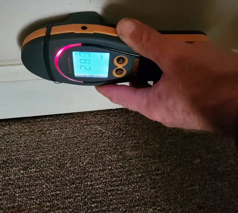 Moisture detection at baseboard during Sewage Cleanup & Sanitation in Smithtown